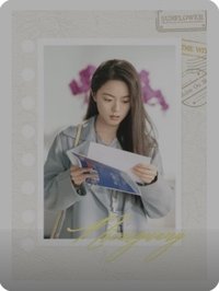 驕陽似我 冬日手冊 · 活頁卡 隨機卡 