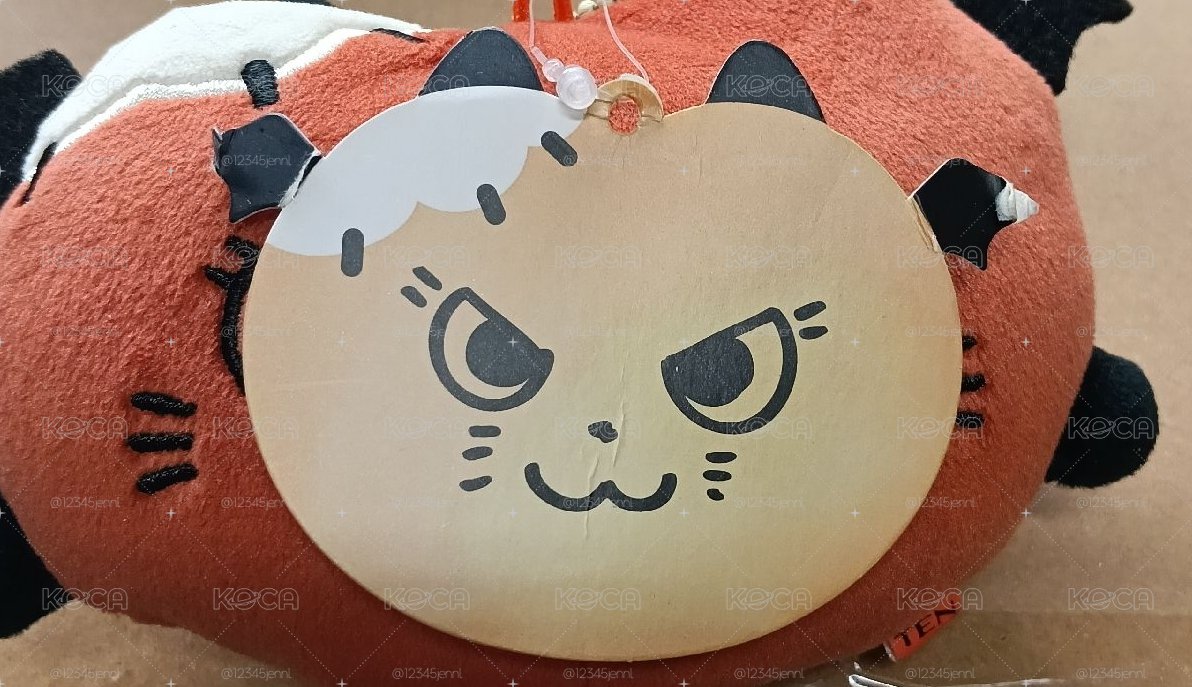 ten 翻轉娃娃