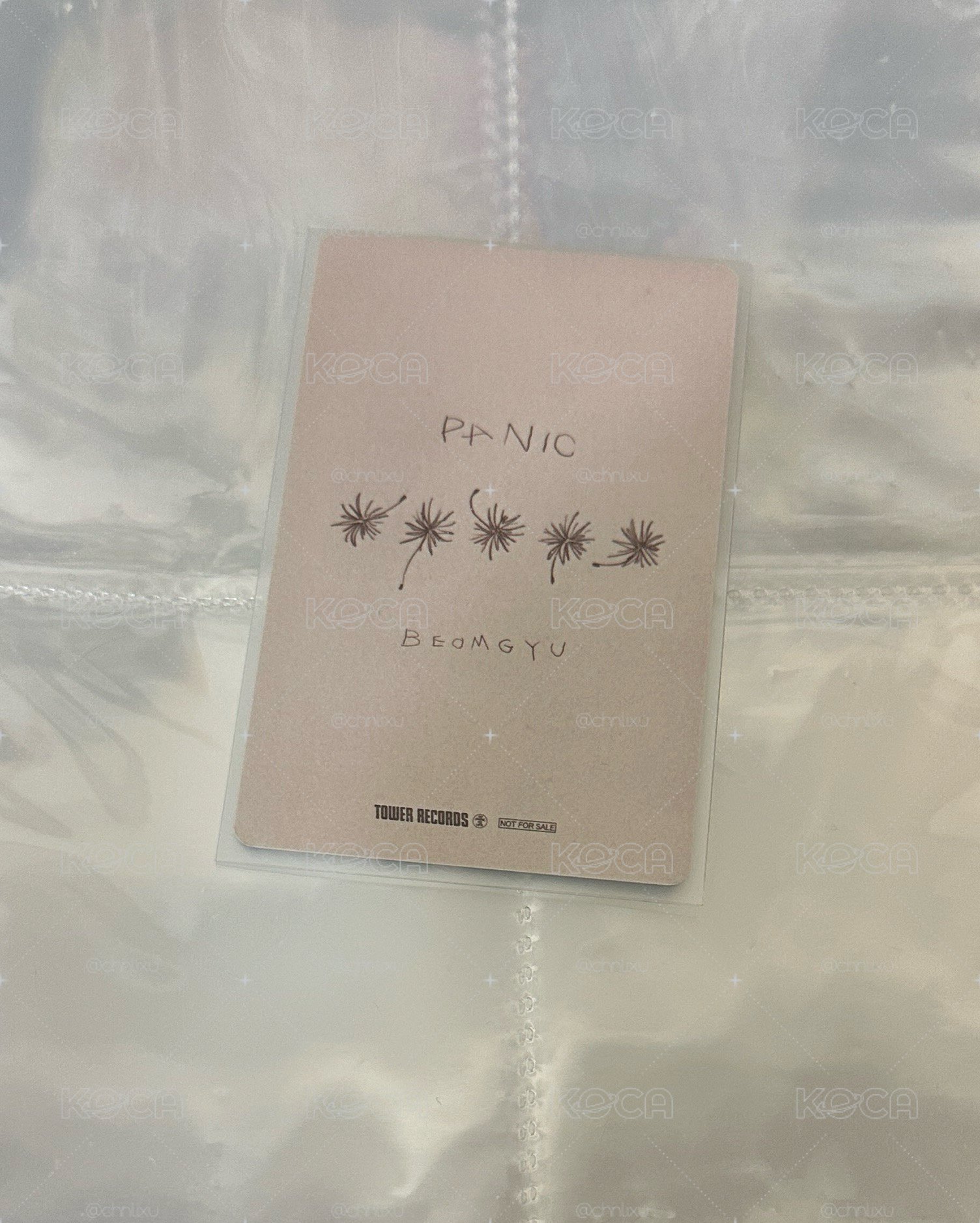 圭 panic 塔店 特典卡