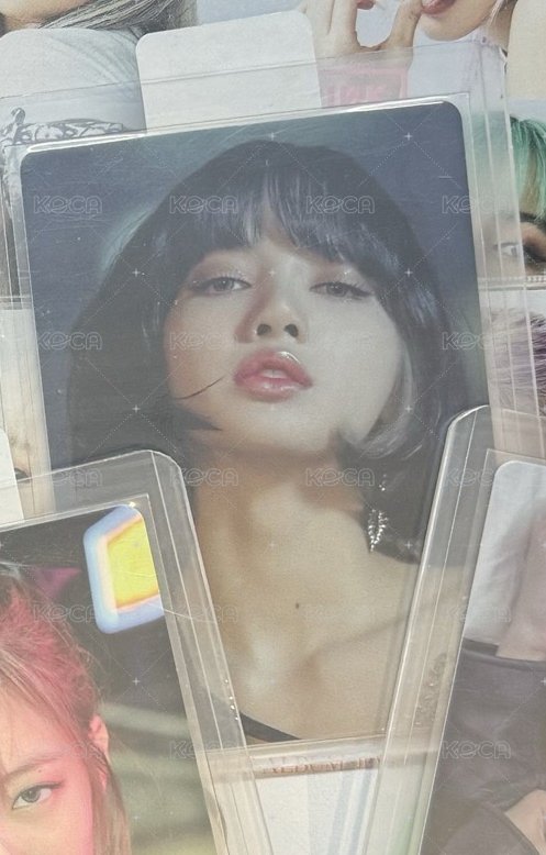 Lisa