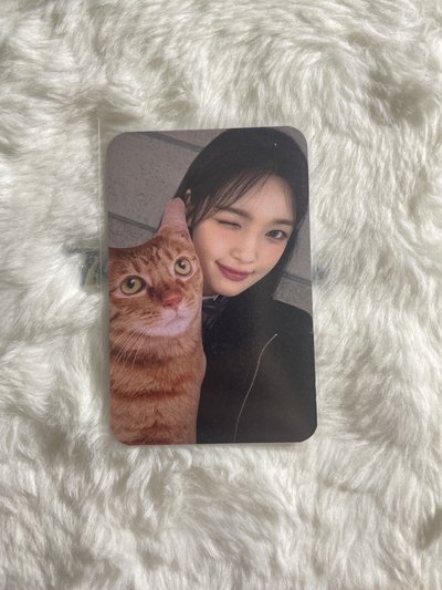 Yuha 單一 sw 幸運卡 