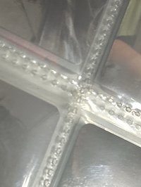 迷一 COTL 一直娛7.0 tin