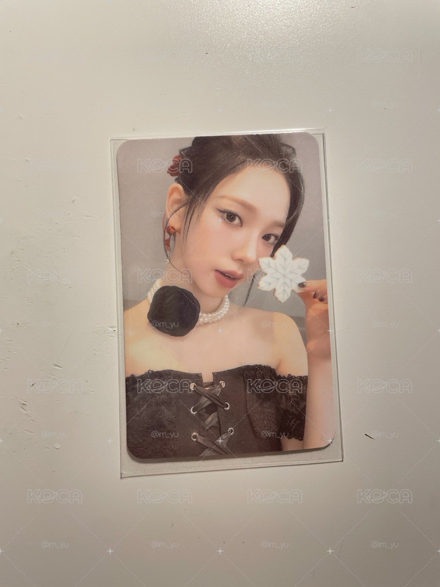 23年聖誕隨機卡柚