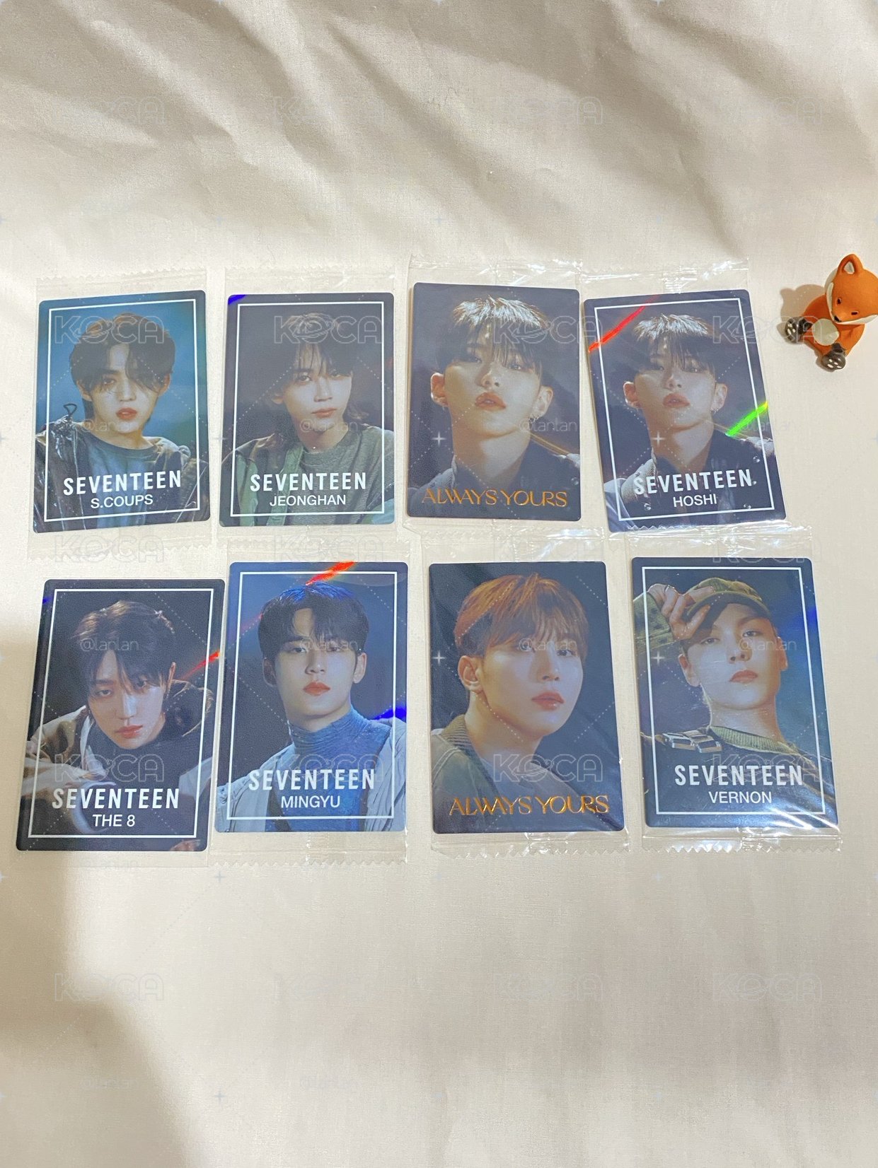 SVT 餅乾卡