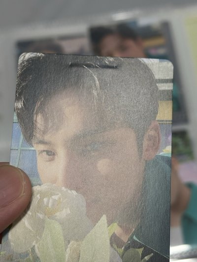 迷8綠衣奎