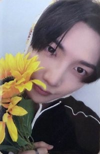 NO DOUBT mr 線上 簽售卡 미닛向日葵ver.