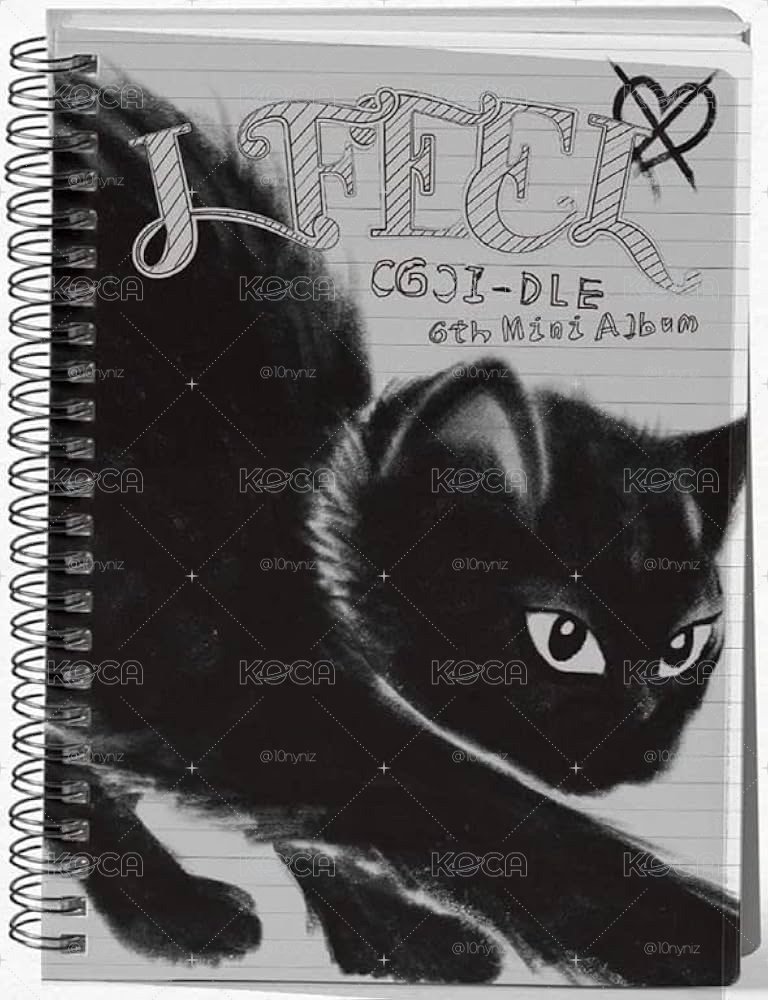 I-dle I feel cat版 已拆全專（有兩張海報、沒有貼紙、ID卡）