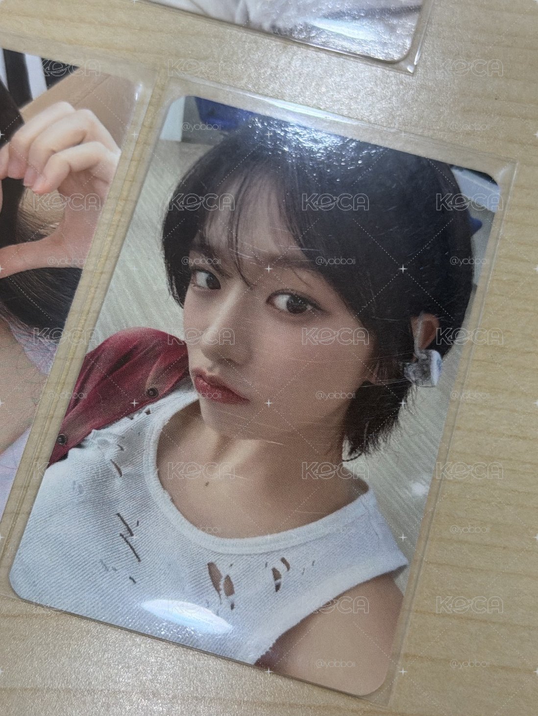 小狗