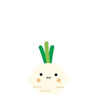 Riceradish