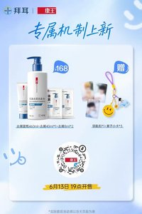 康王 2.0