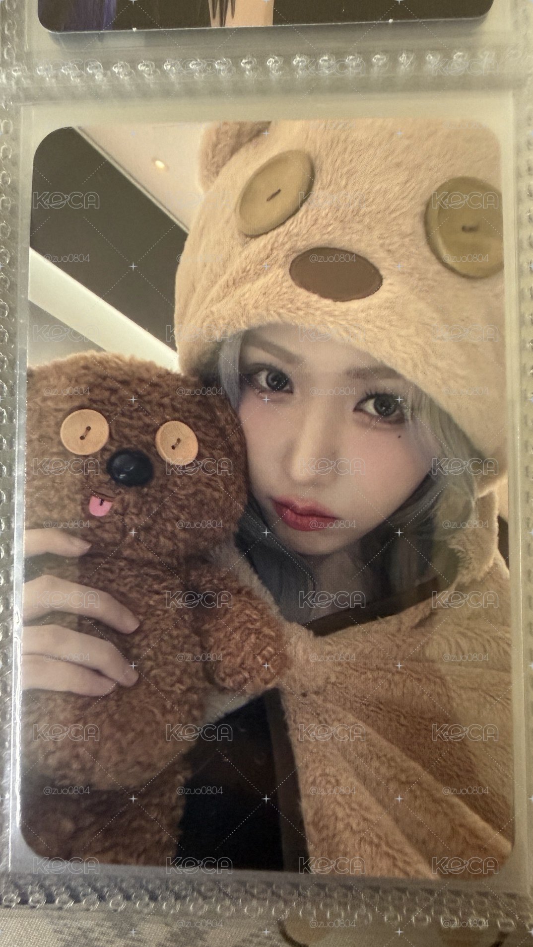 小熊SinB 