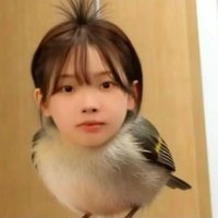 珉zi