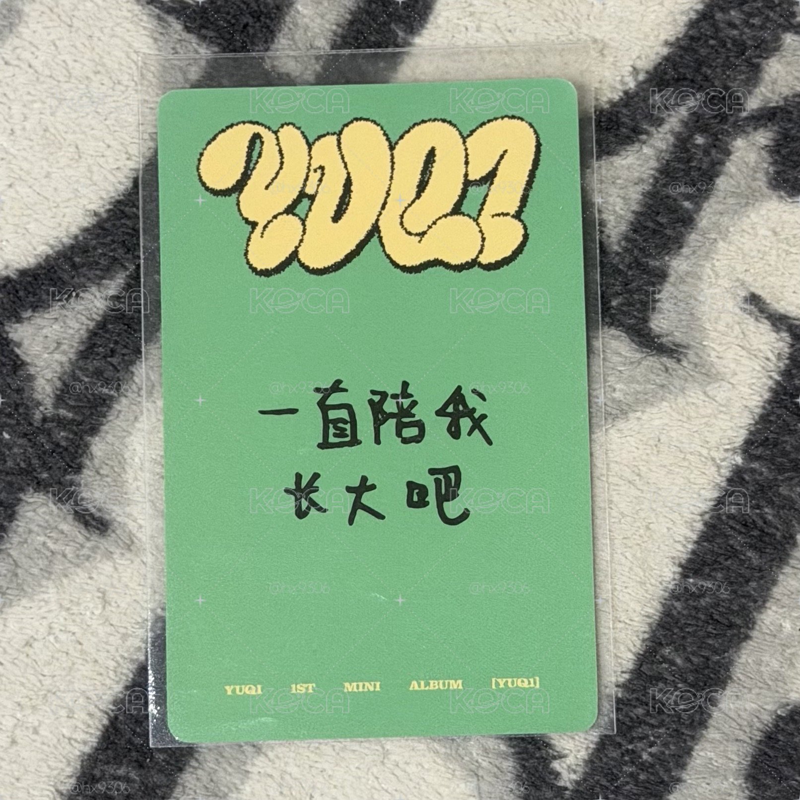 yzy5.0中文卡背