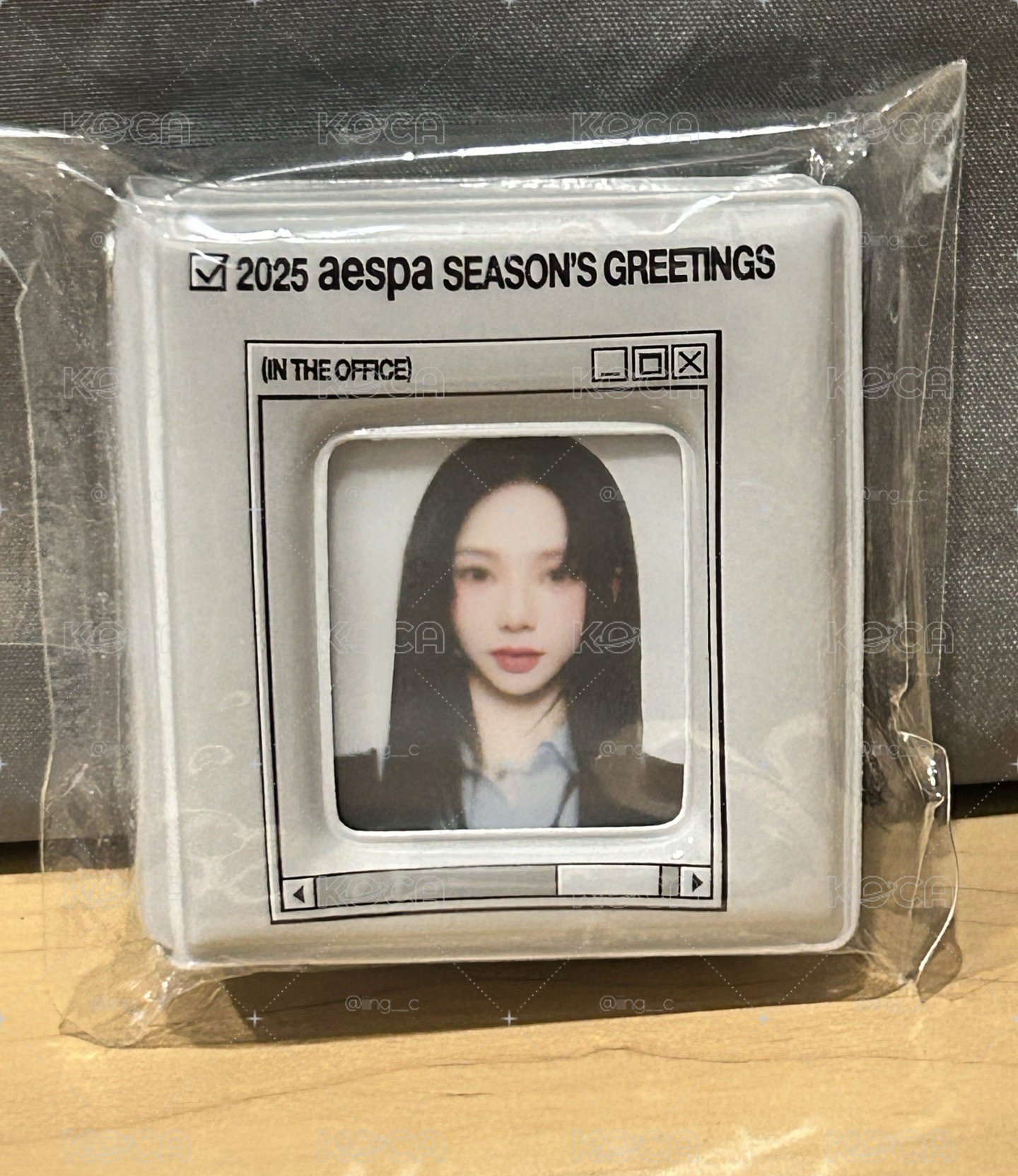 aespa Karina 2025 Season’s greetings 證件照卡冊