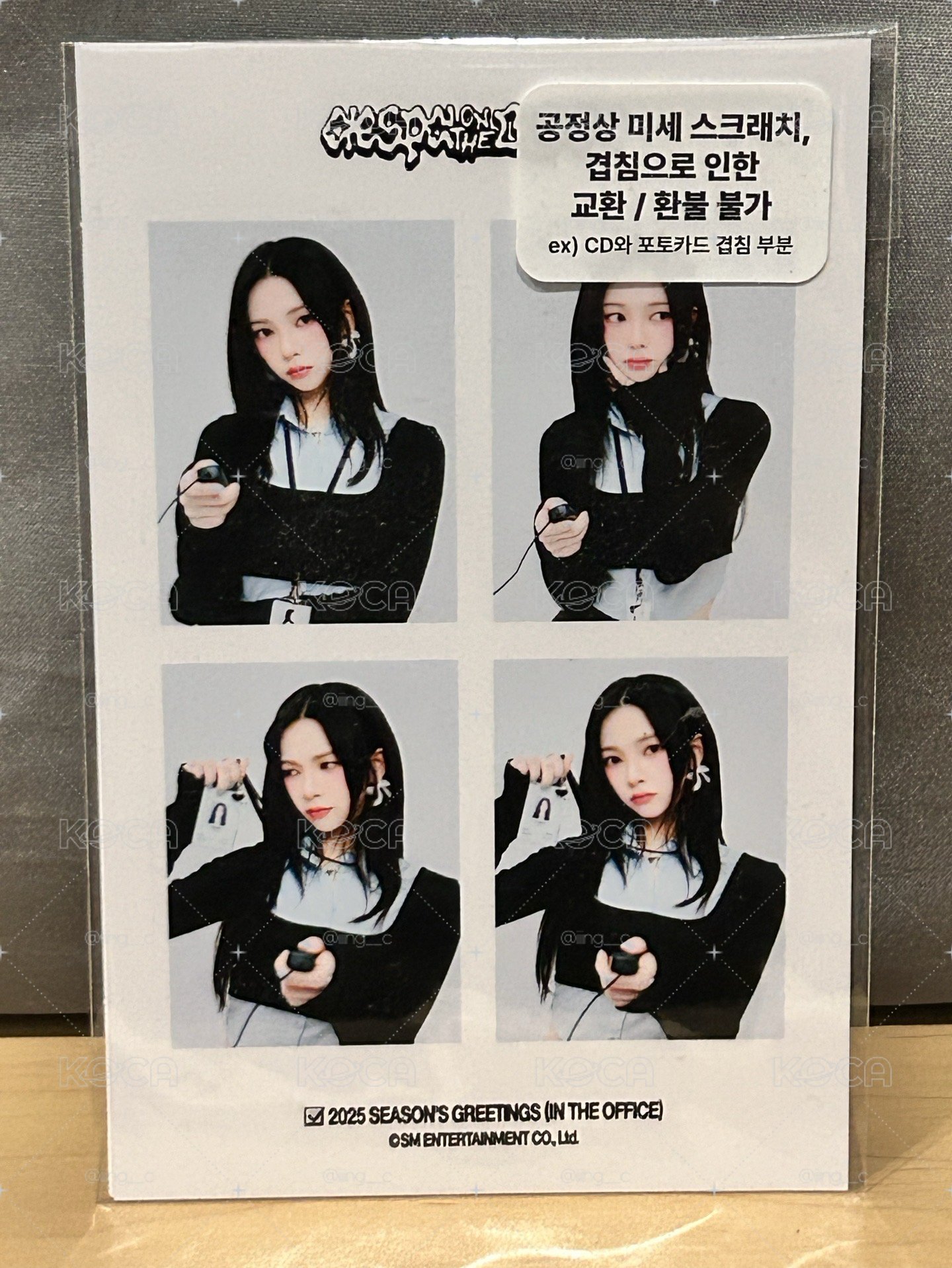 aespa  Karina Season’s greetings 人生四格
