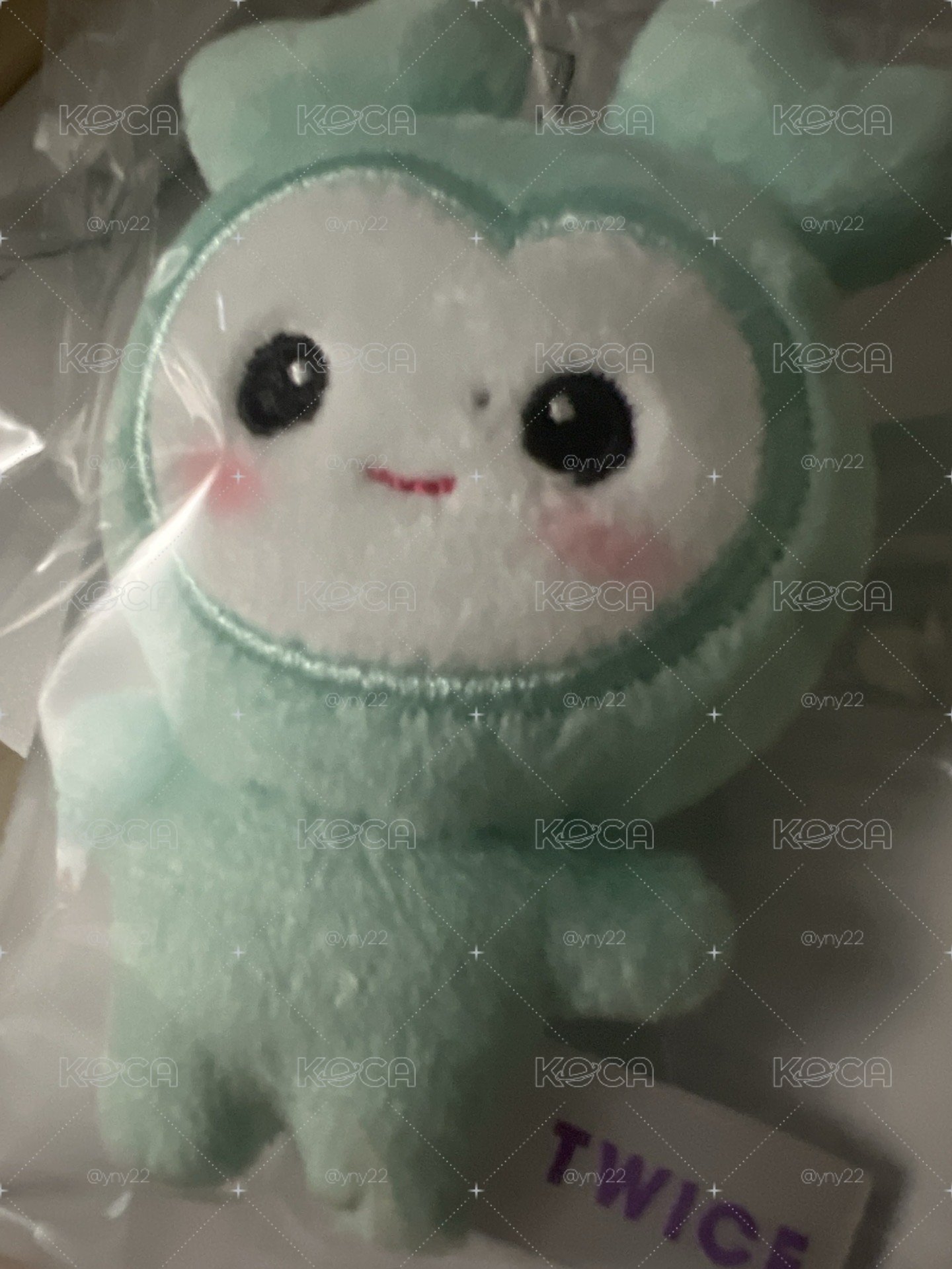 Mina豆豆眼現貨