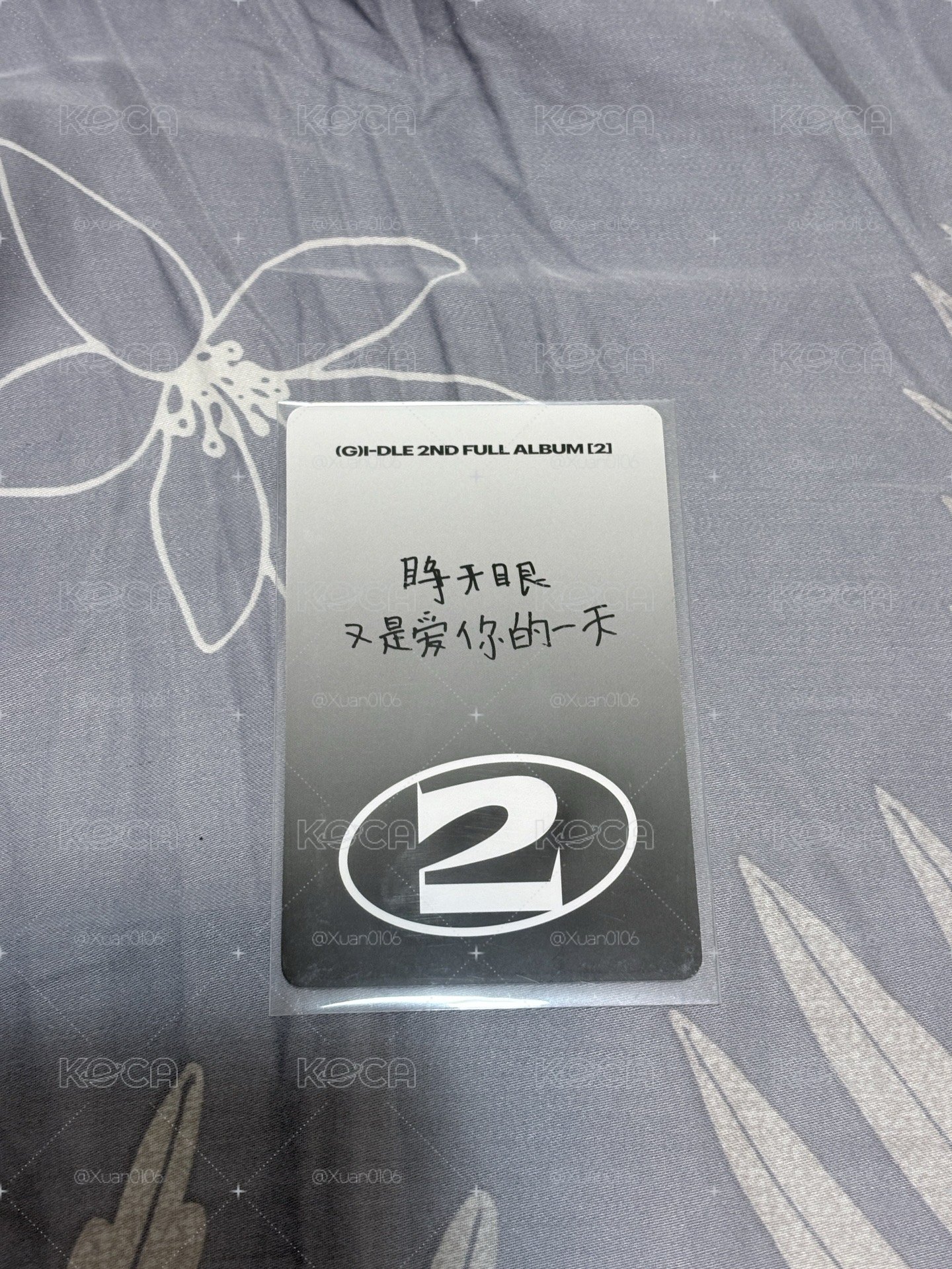 小娟 正規二 yzy 12.0中背