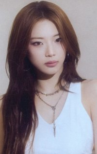 춤 (CHOOM) 塔店 特典卡 