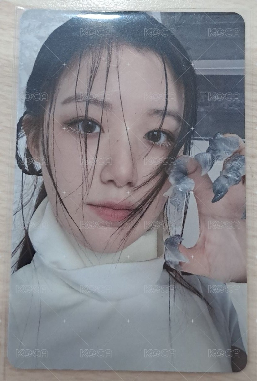 貓爪