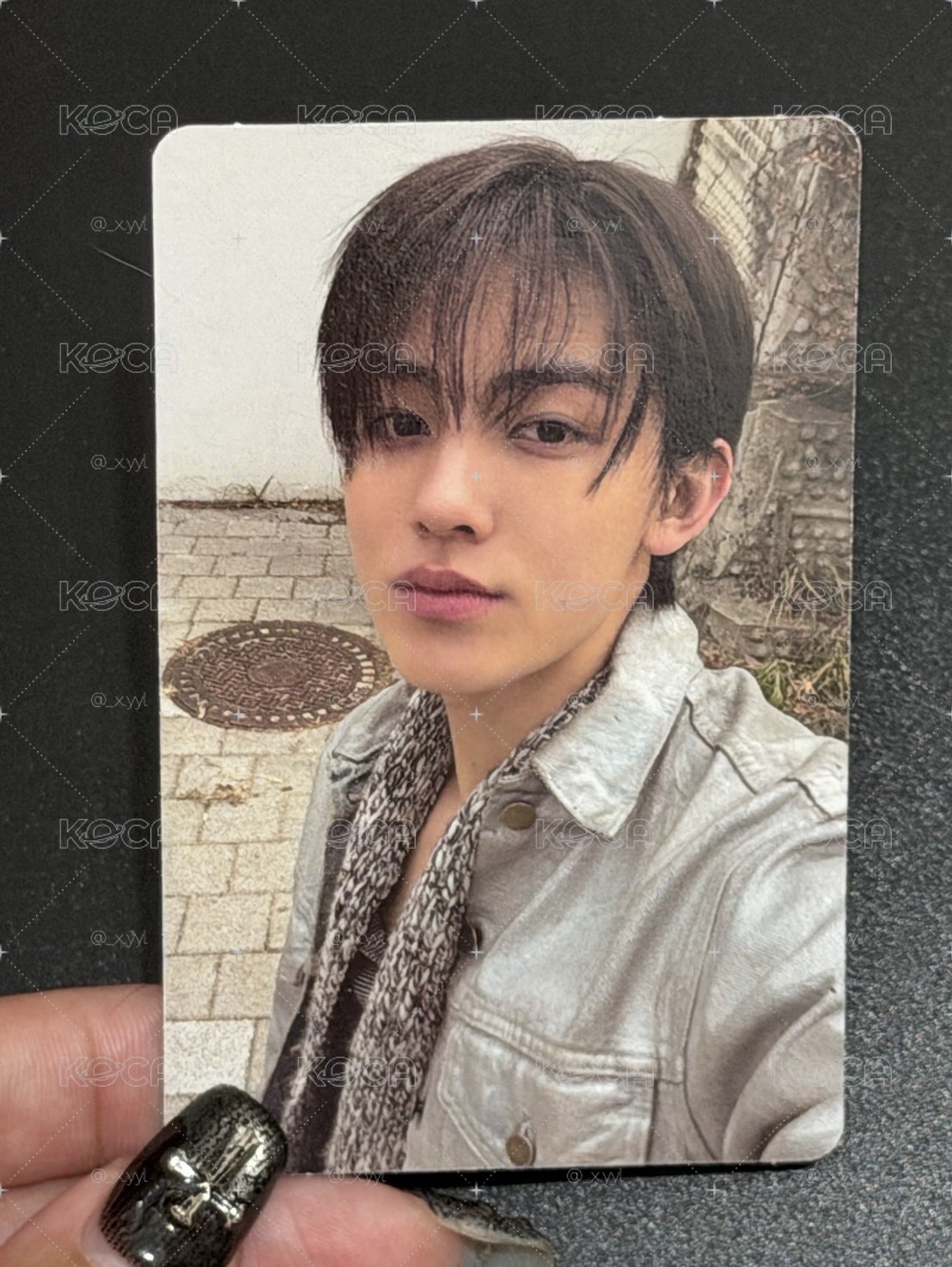 小狐狸搬家
