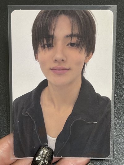 小狐狸搬家