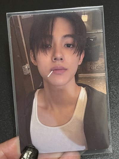 小狐狸搬家