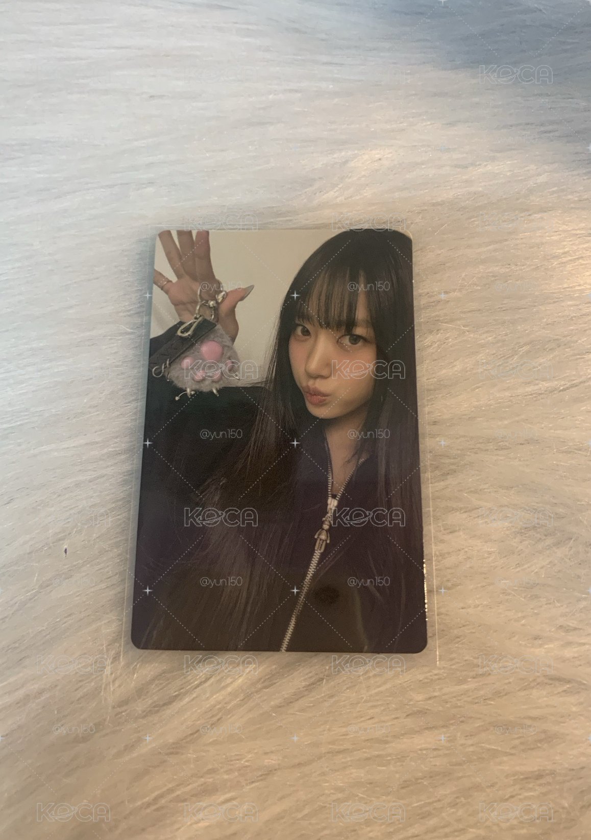 小貓🤍✨