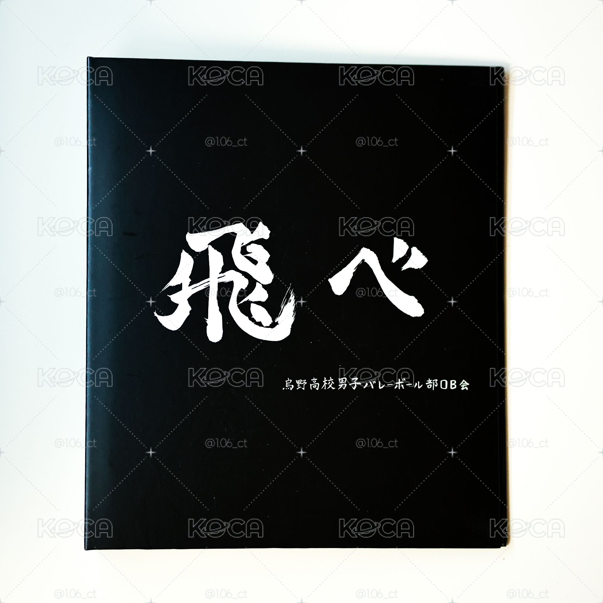 🏐【排球少年】卡冊 含4格內頁