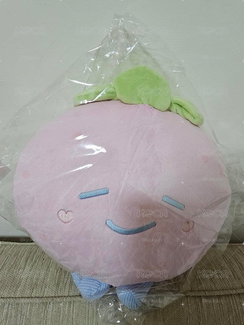 SJ MARKET 東海草莓抱枕 含小卡
