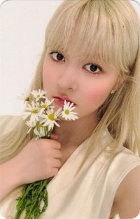 小夜曲 sw 預售 特典卡 