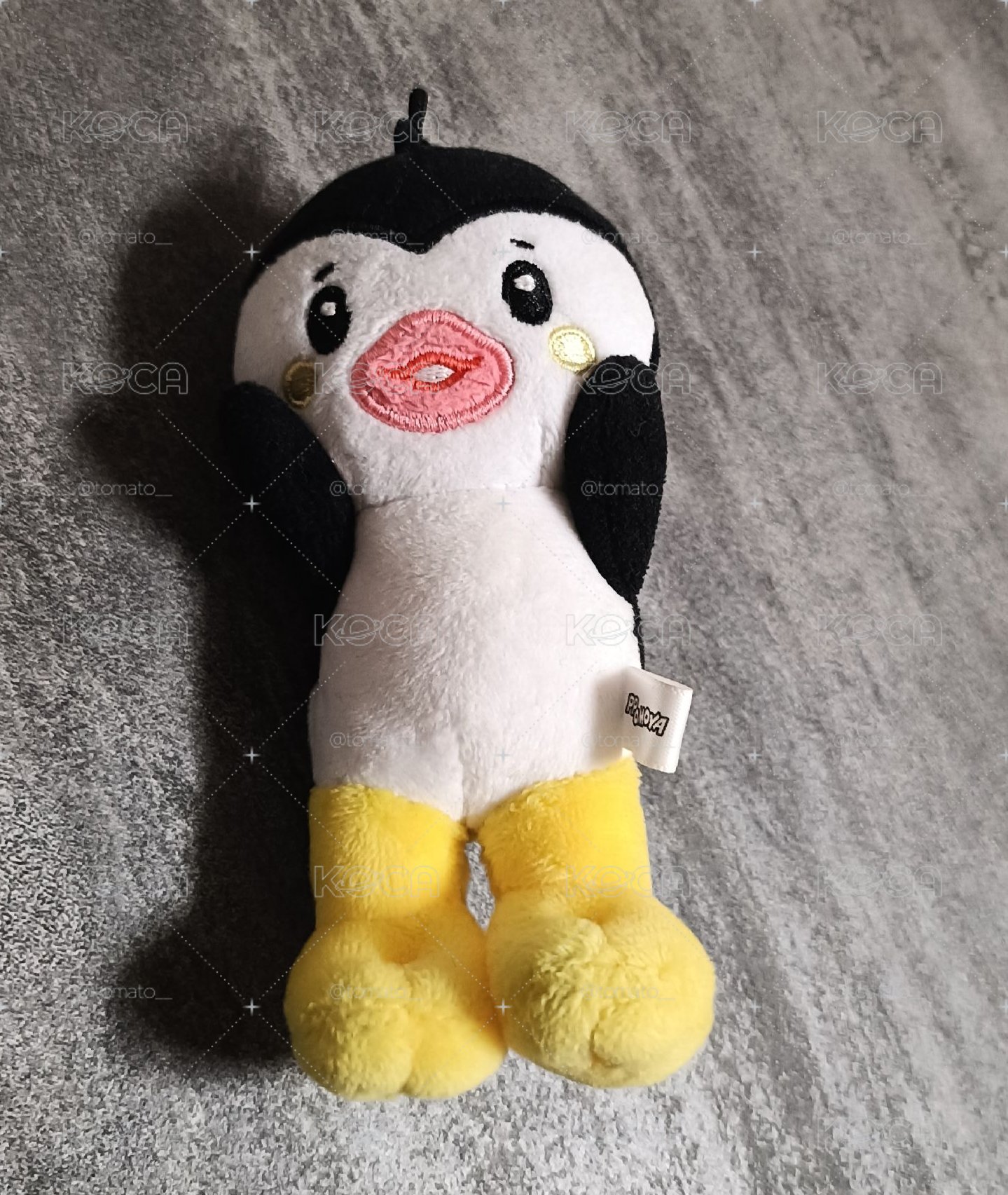 🐧小盤