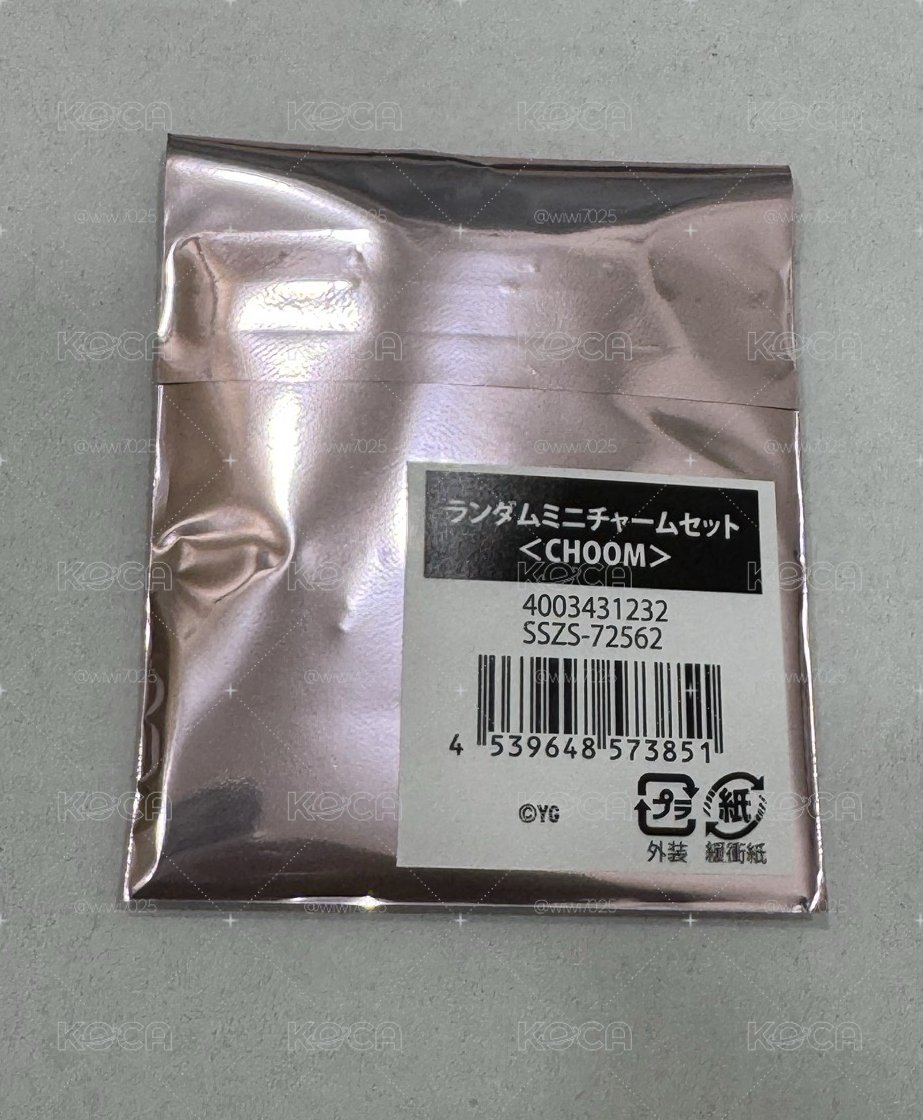 隨機吊飾組未拆