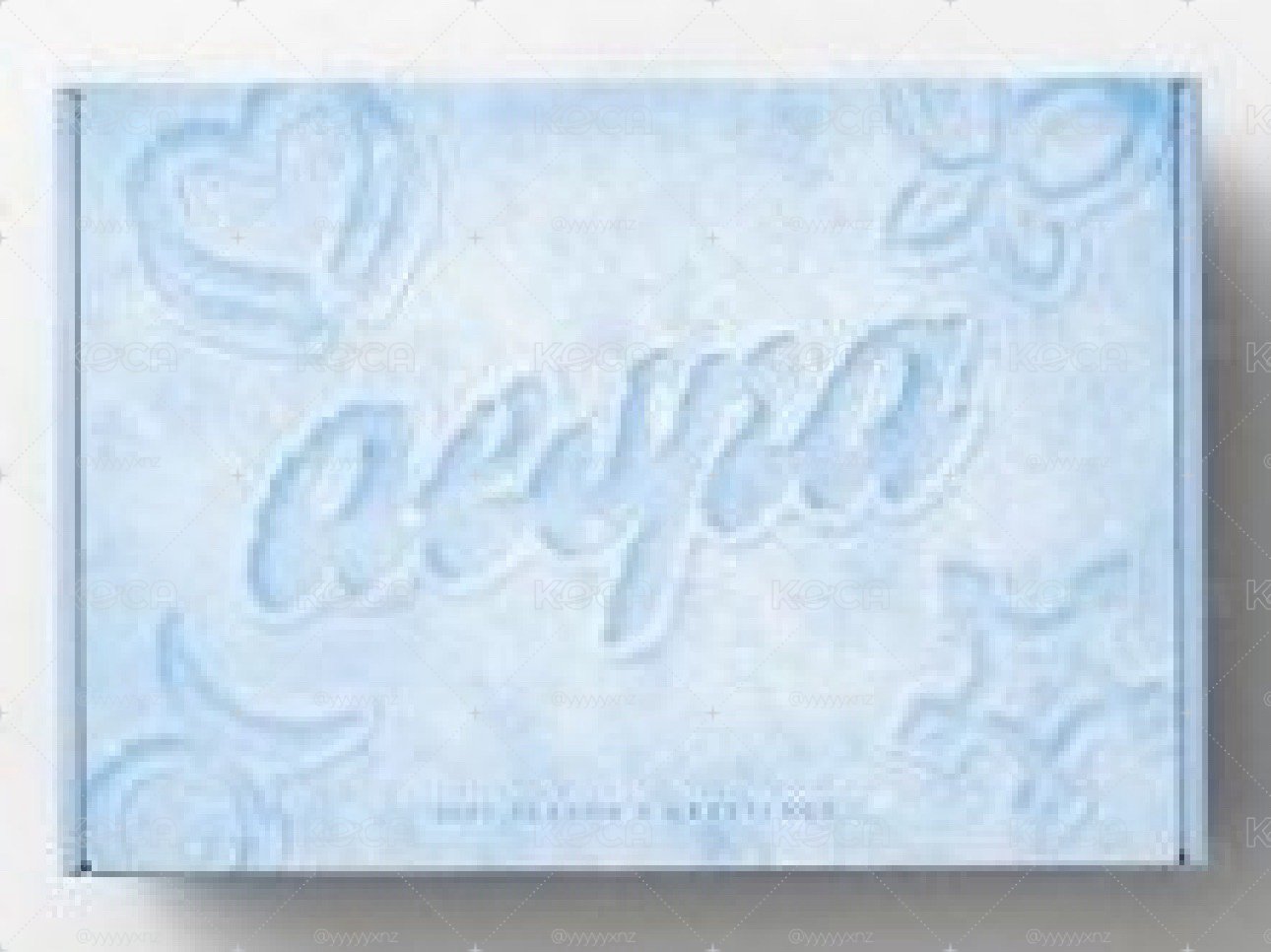 現貨 aespa 23年曆（無小卡、透卡）