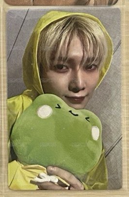 青蛙雨衣尚