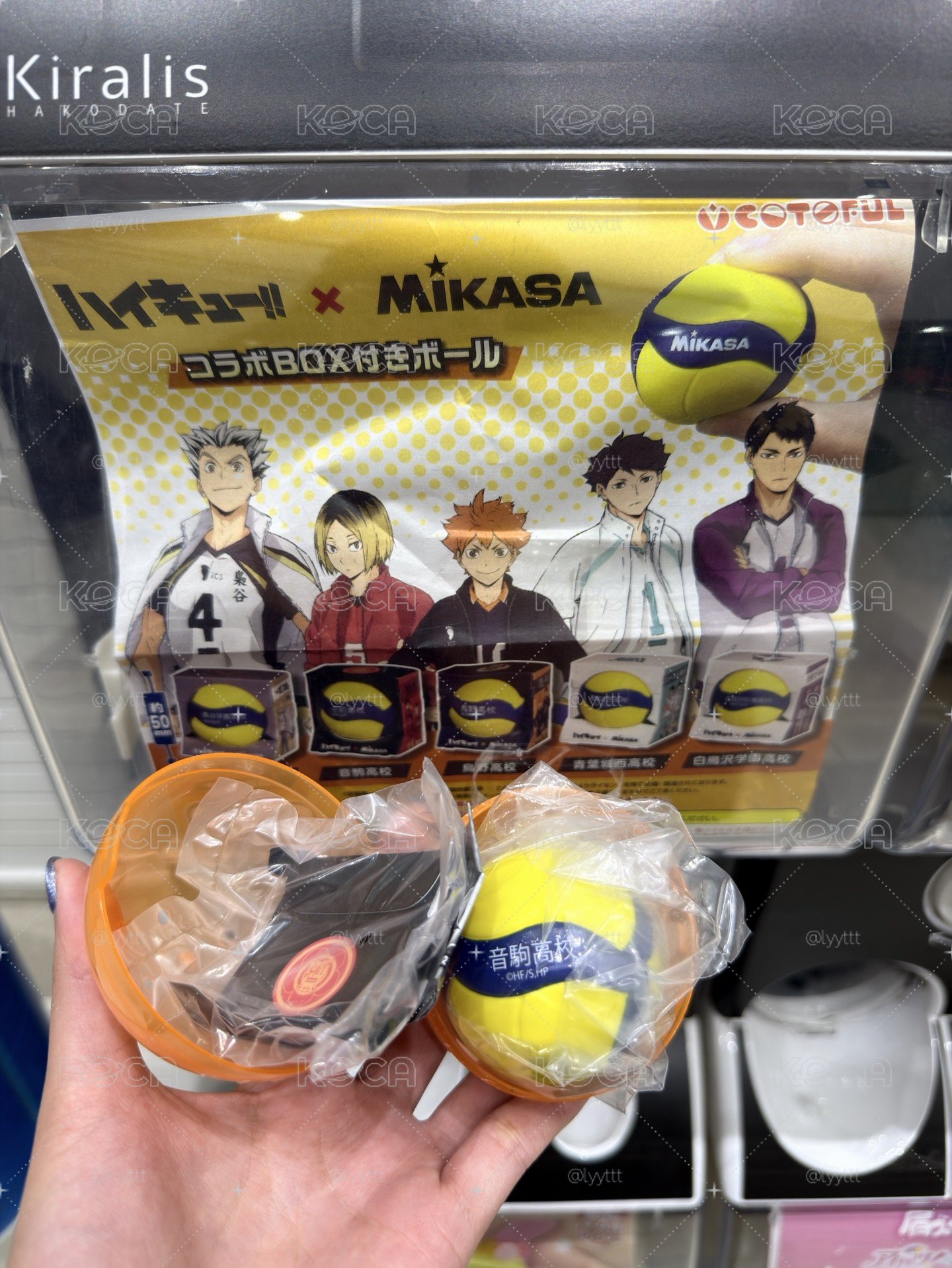 音駒排球扭蛋🏐