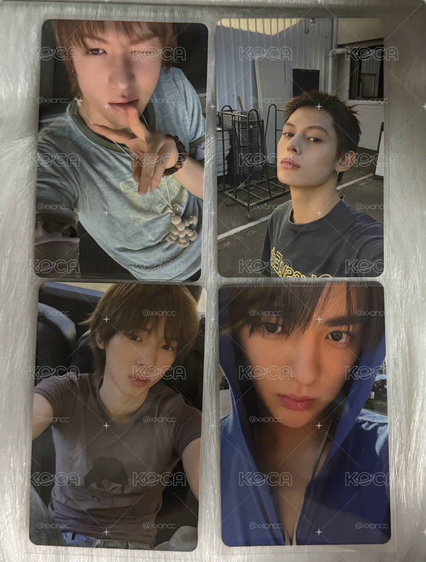Cortis 環球預售 幸運卡