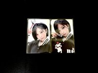 杏紗寶寶