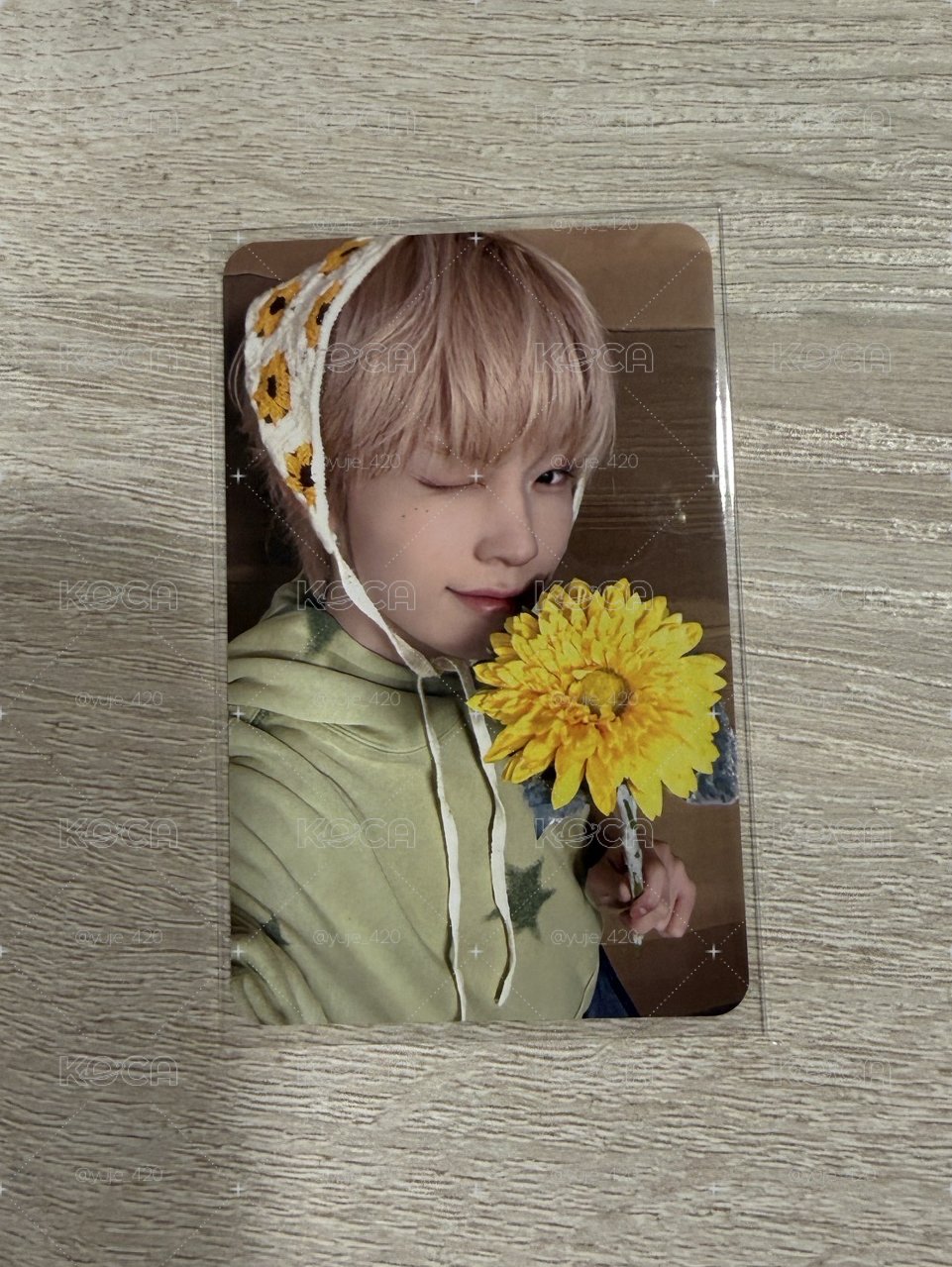 向日葵樹🌻