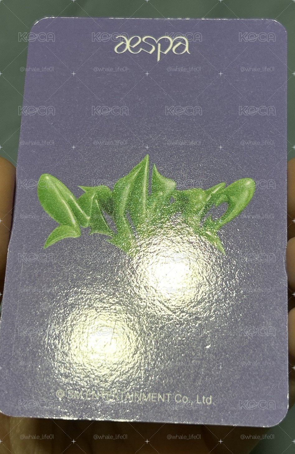 aespa el 麻花辮寧