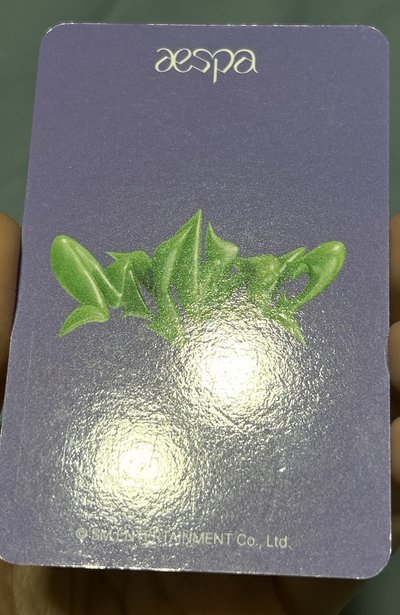 aespa el 麻花辮寧