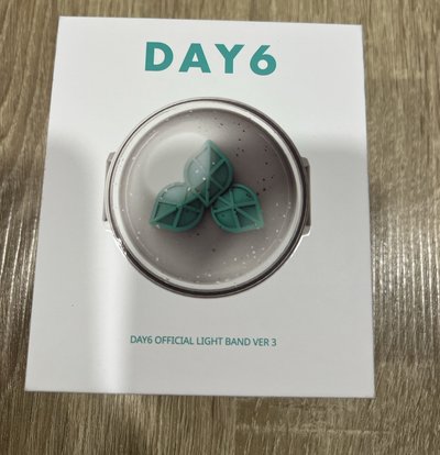 DAY6三代手燈（使用過一次）