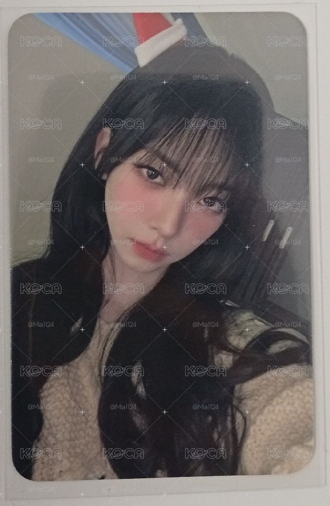 Drama sw 簽售卡 聖誕柚 聖誕帽柚