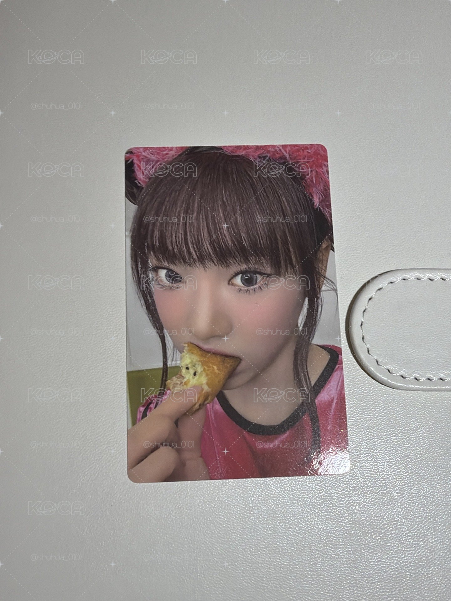 DVD 演唱會寧