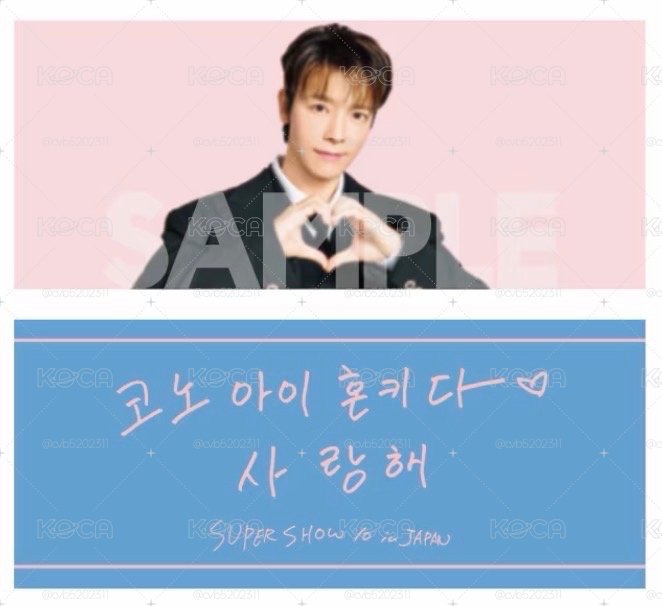 SUPER JUNIOR SS10日周海手幅