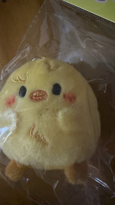 菲