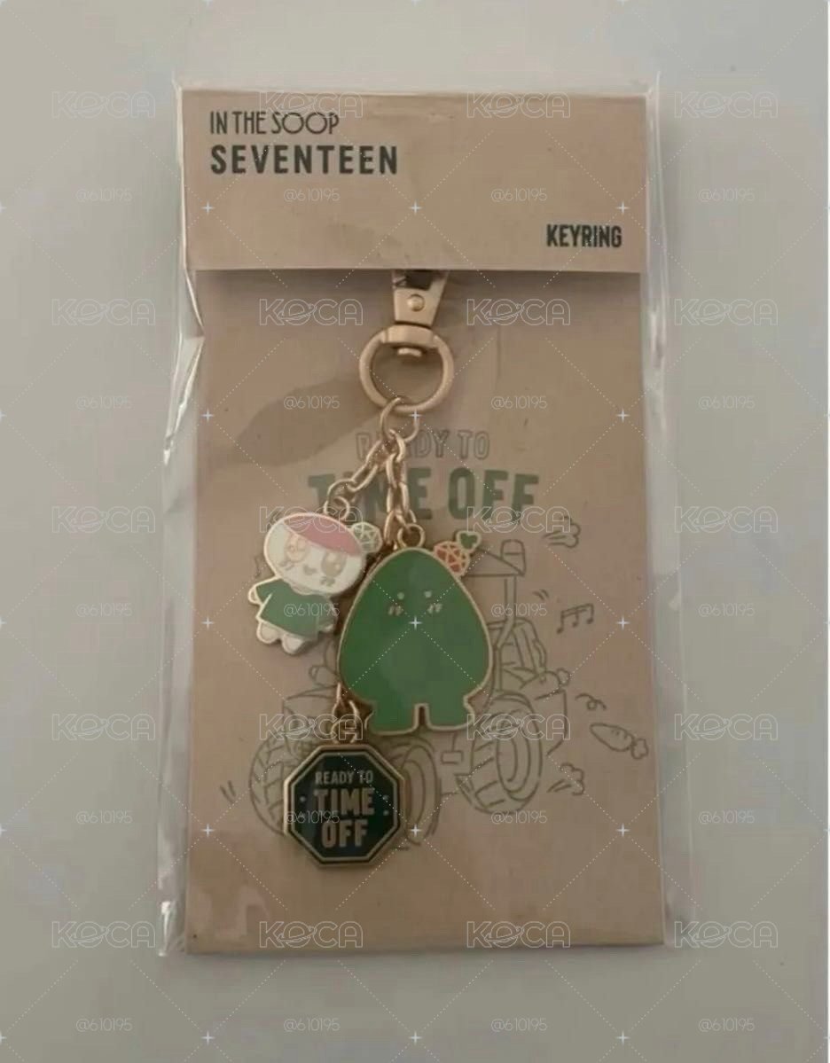 seventeen in the soop ver2 仙人掌坐娃 全新