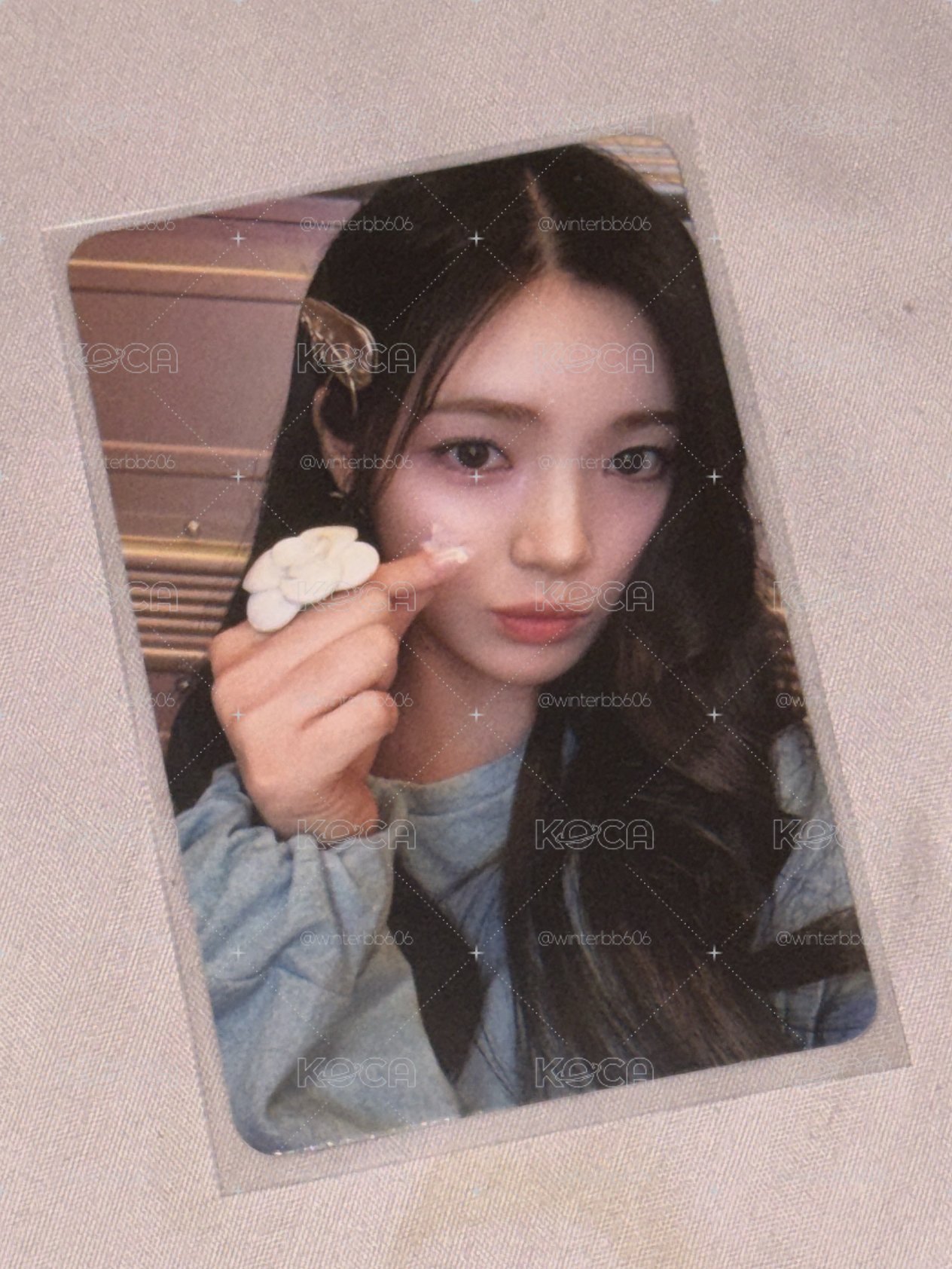 The Chase專卡 Yuha