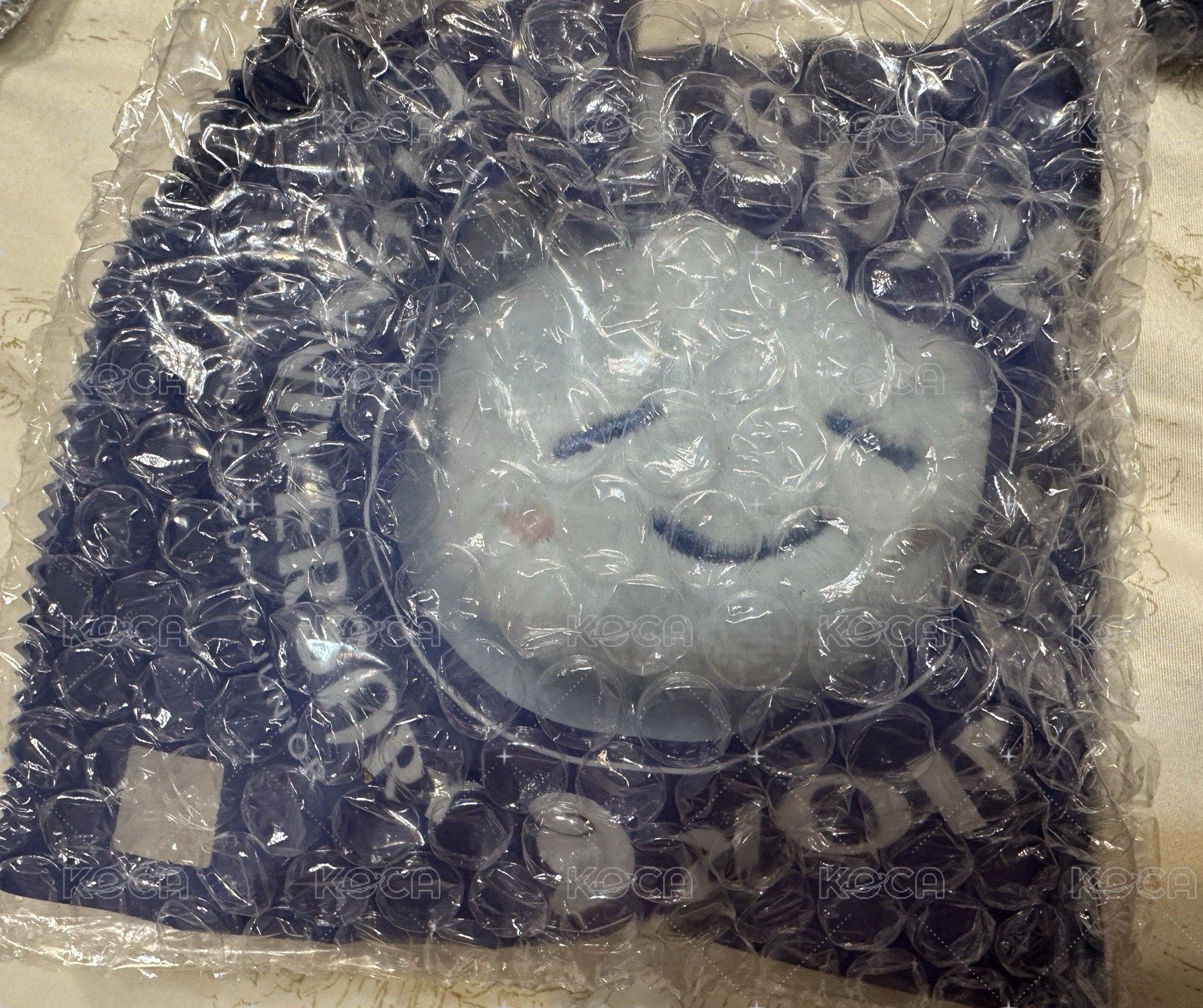 海