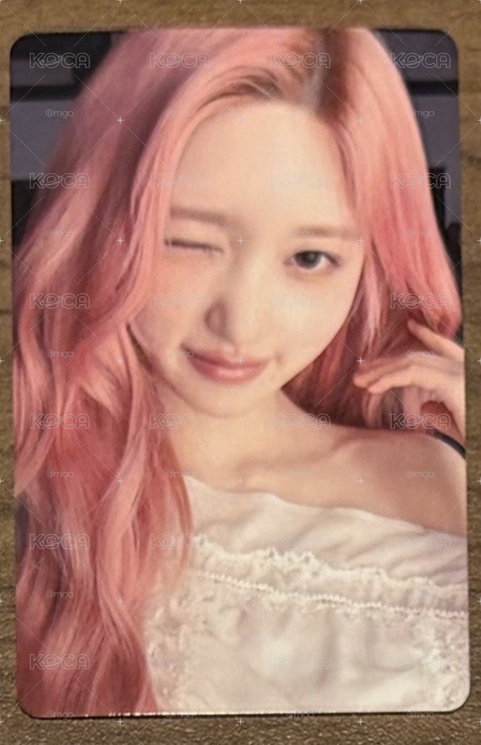 LUCID DREAM 塔店 秋