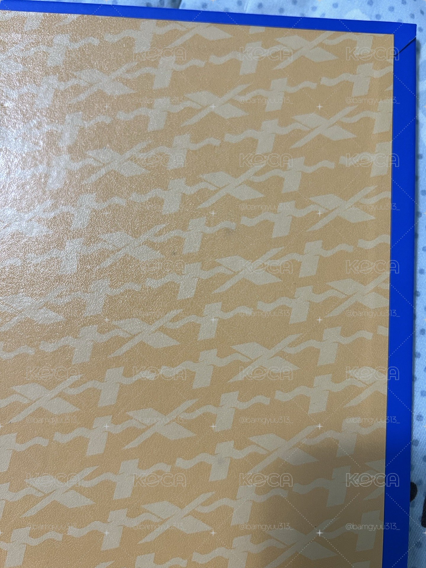 🤍顯D社卡冊&寫真